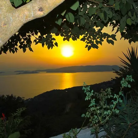 Maria O Villa