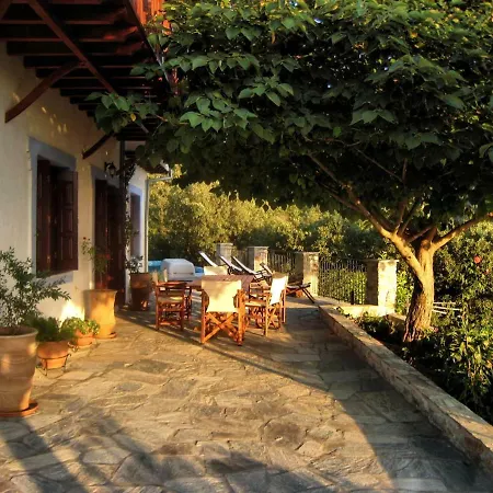 Maria O Villa *